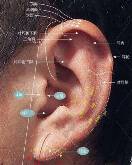 广州小耳畸形手术哪里好？