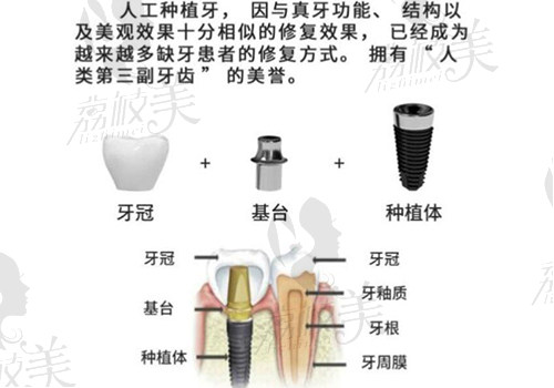 宁波牙博士口腔