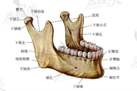 杭州时光整形项昌峰下颌角整形怎么样？