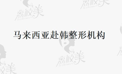 马来西亚赴韩整形机构排名