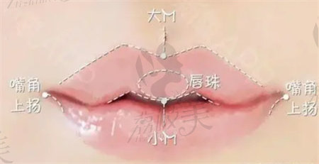 杭州连天美医疗美容医院做m唇多少钱？
