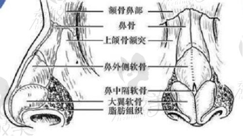 刘彦军鼻修复