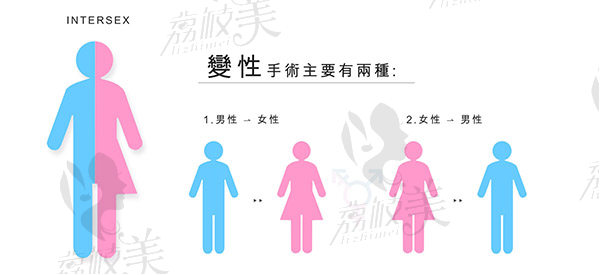 女轉(zhuǎn)男性別重置手術(shù)