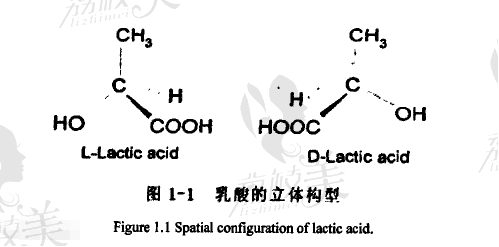 童颜针分解过程