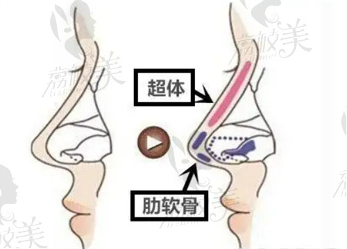 臉博士和海峽的特色項(xiàng)目口碑好