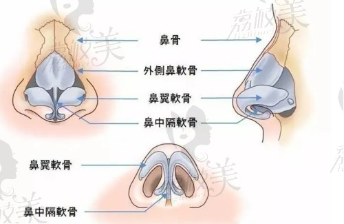 廈門歐菲做鼻子技術好