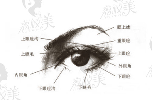 上海靠谱的双眼皮整形医生有哪些