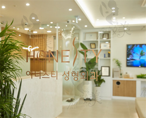 韩国HONESTY整形外科医院标志