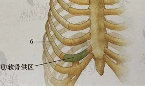 付巨峰醫(yī)生做半肋軟骨鼻綜合的優(yōu)勢(shì)