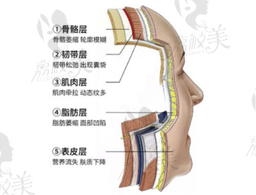 许凤芝颜龄复位网雕术有效改善松弛的肌肤