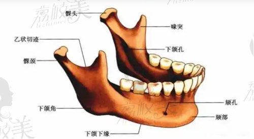 穆雄铮医生做下颌角手术的特点是什么