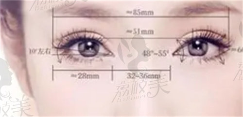 南京艺星吕永全做双眼皮的眼周数据分析