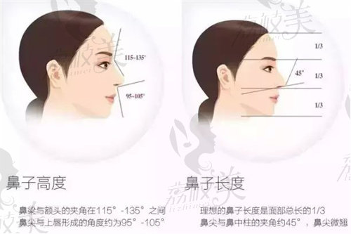 韩辰SUS全鼻塑形技术特色是什么？