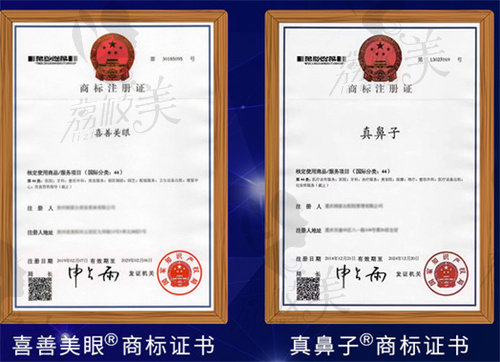 刘溪项目商标证书