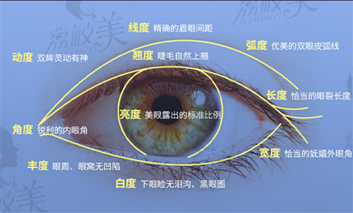 10°15區(qū)自然系美眼圖