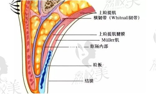 珠海九龍周國(guó)偉醫(yī)生做眼綜合技術(shù)怎么樣