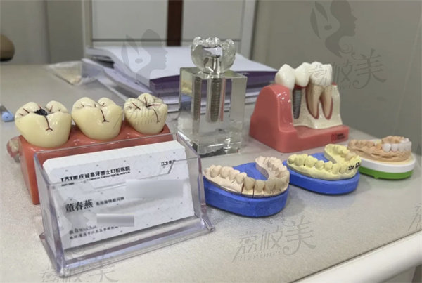 重庆牙博士口腔（江北院）牙齿模型