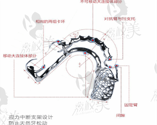 维他灵活动义齿