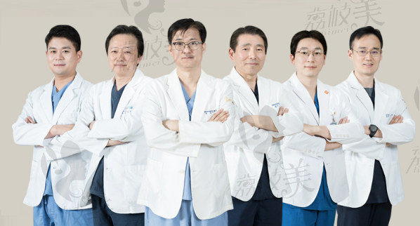 韩国希克丽整形外科医生团队