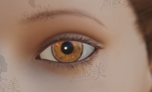 南京苏王金铺眼部整形技术高超