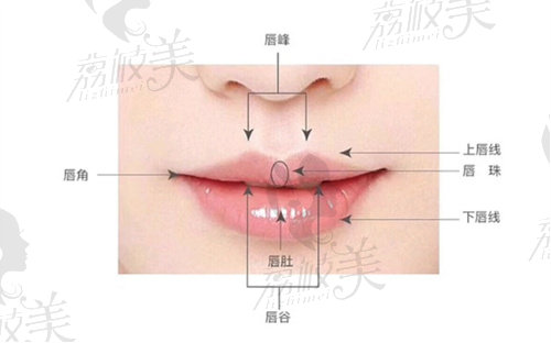 m唇手术的原理