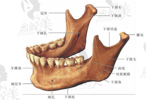 下颌角整形手术有几种方式