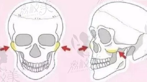 赵绛波医生线上咨询预约挂号方式