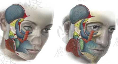 青岛波罗蜜做面部提升朱洪涛亲诊，仿生韧带提升维持10年以上