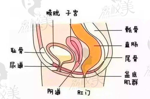 广州荔湾区人民医院整形科私密怎么样