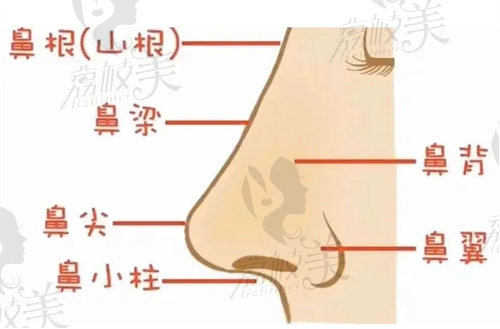 南京苏王整容王兵医生熟悉鼻子结构