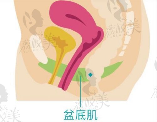 盆底肌修复能让下面变紧吗