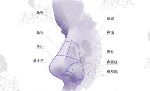 广州隆鼻手术医生排名