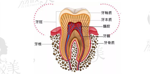 深圳格伦菲尔口腔医院根管治疗