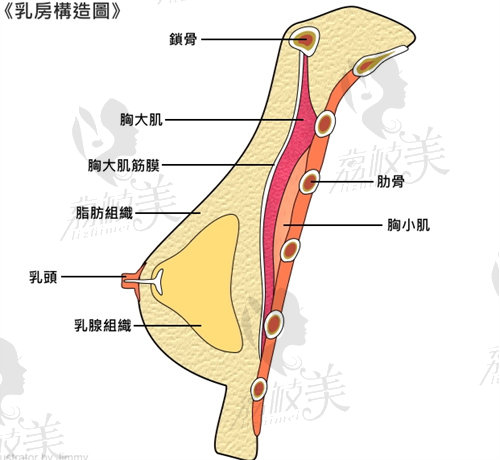 乳房重建假体可以终身不取出吗