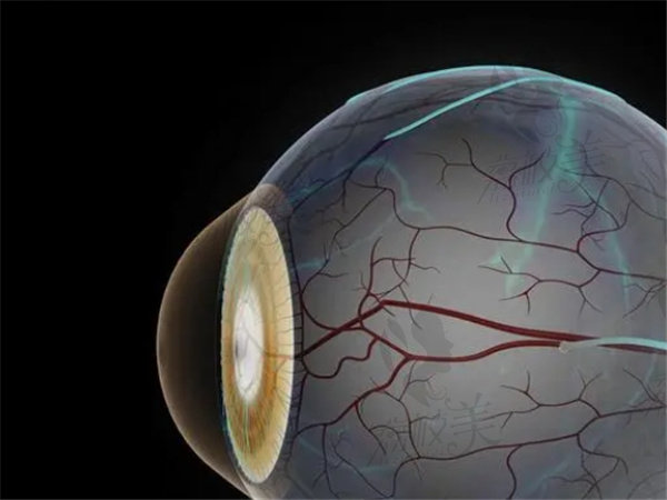视神经萎缩是怎么形成的