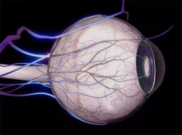 视神经萎缩有办法治疗吗