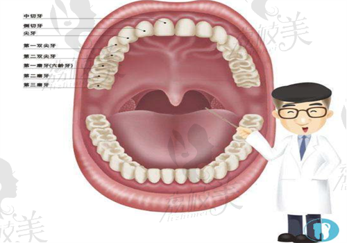 南京数字种植牙医院看牙图