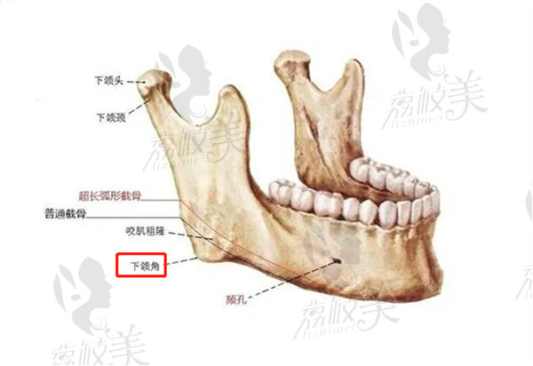 磨骨十年后的来说说怎么样了