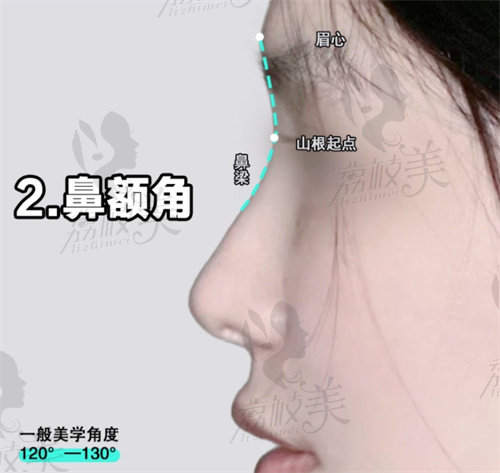 广州鼻综合包括鼻额角