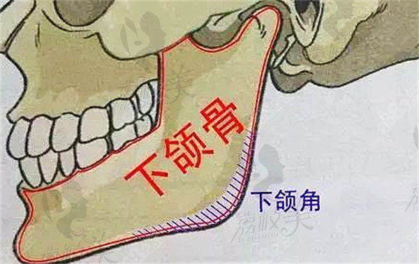 改脸型手术大概多少钱