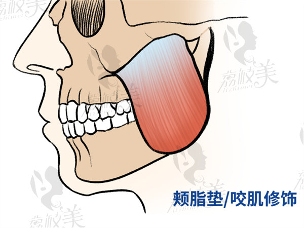 吴国平医生怎么样