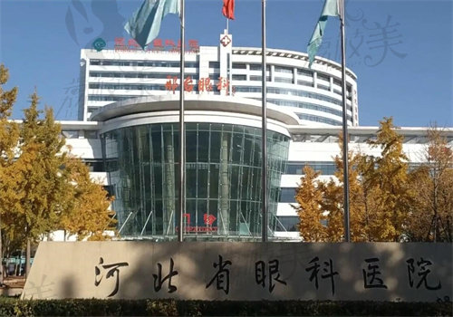 河北省眼科医院医生简介之陈志敏