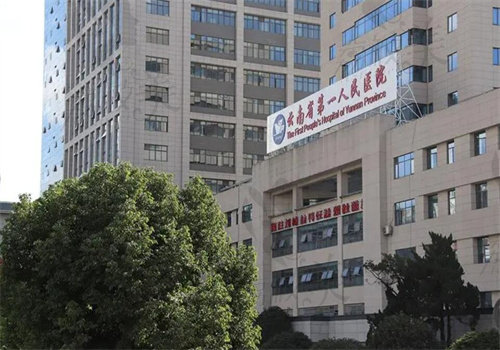 云南省第 一人民医院（总院）地址