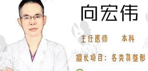 向宏伟医生怎么预约挂号？