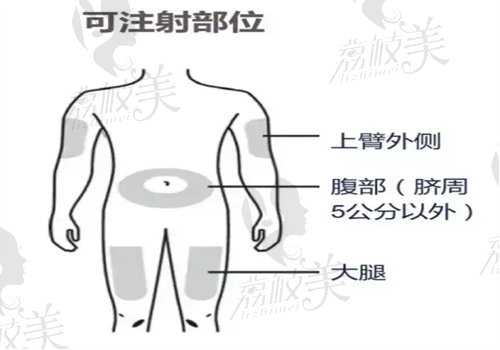 司美格鲁肽怎么打