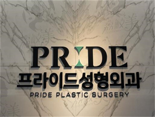 韩国Pride普爱德标志