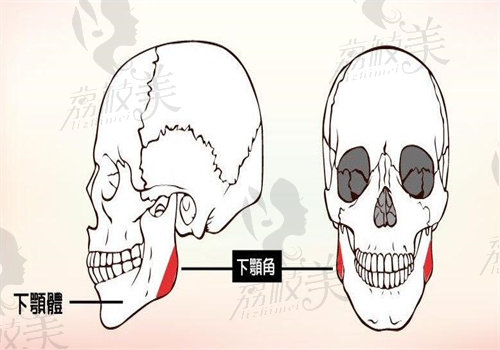 朱乐林做轮廓手术术后结果好