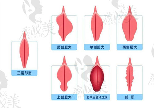 武汉真爱医疗美容医院怎么样