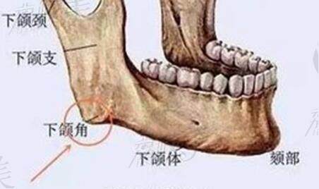 何晋龙医生下颌角磨骨价格是多少钱