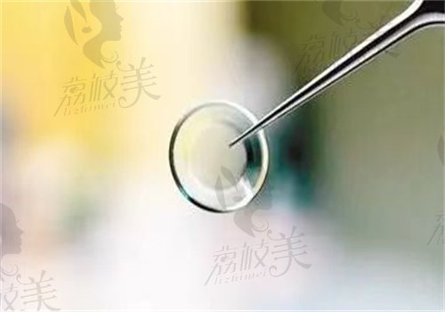 角膜塑形镜戴梦维和阿尔法区别是什么？